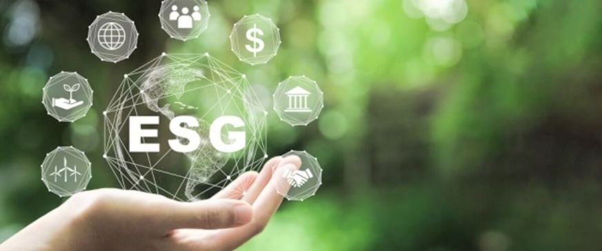 ESG-focused strategies