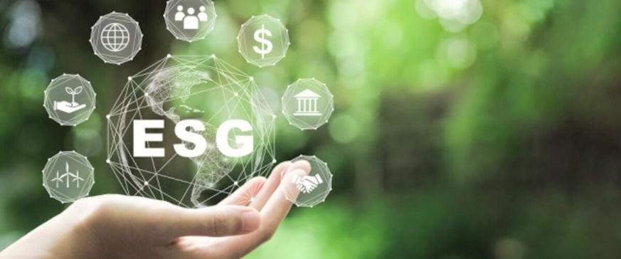 ESG-focused strategies